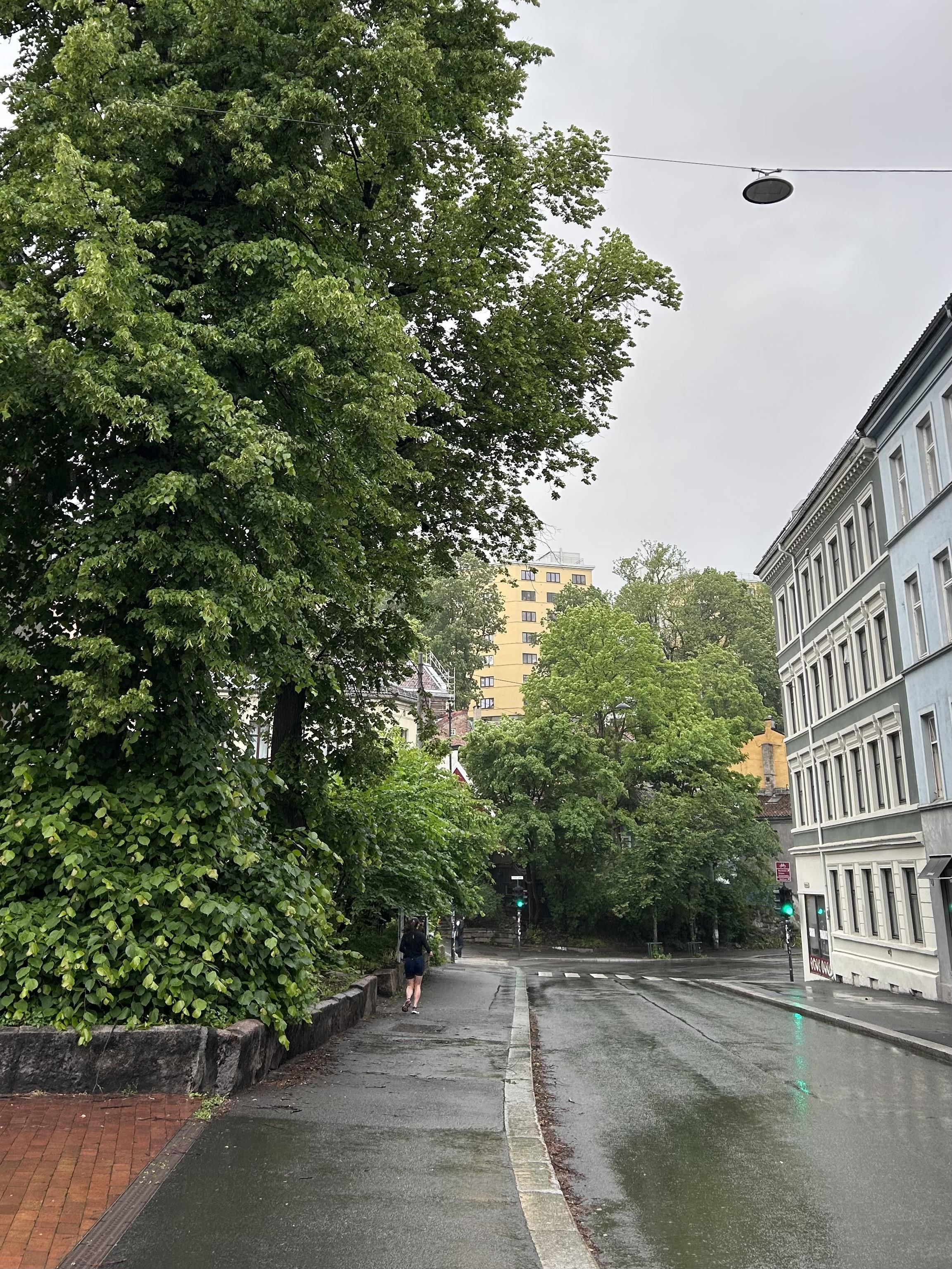 rainy